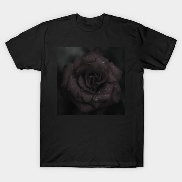 Black Rose T-Shirt by Nature-Arts